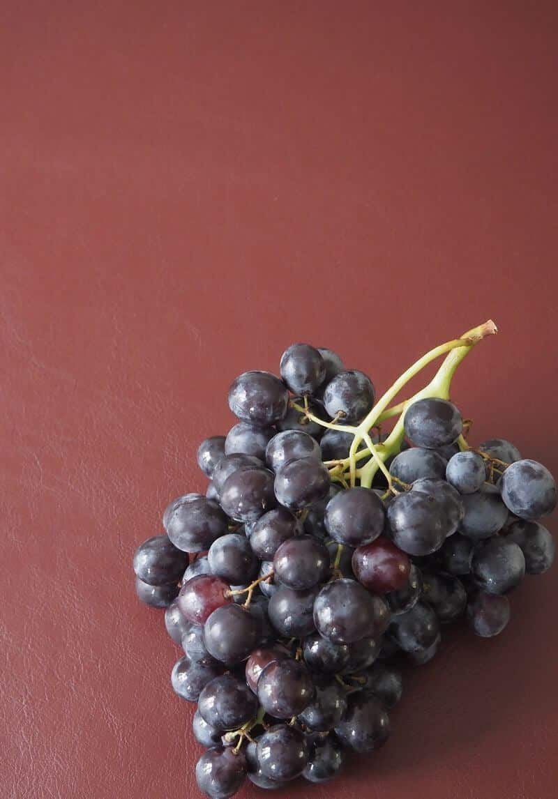 Cuir de raisin bordeaux